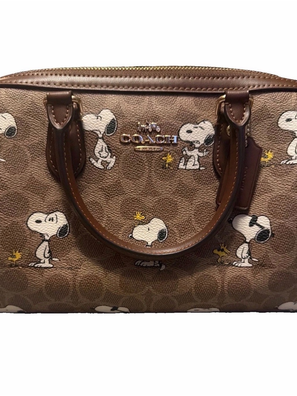 Coach x Peanuts Snoopy Woodstock Signature Canvas Satchel Bag
